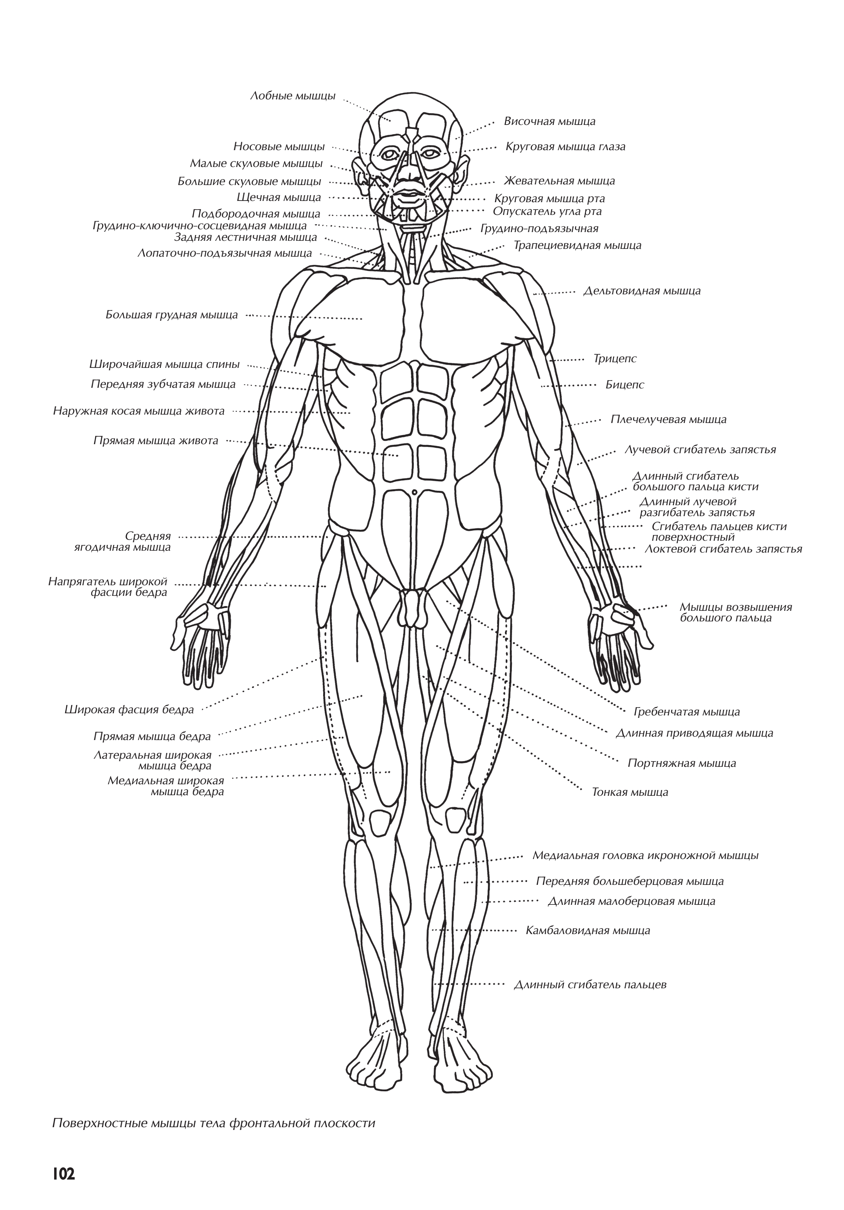 آموزش نقاشی طراحی سیاه قلم شهرری